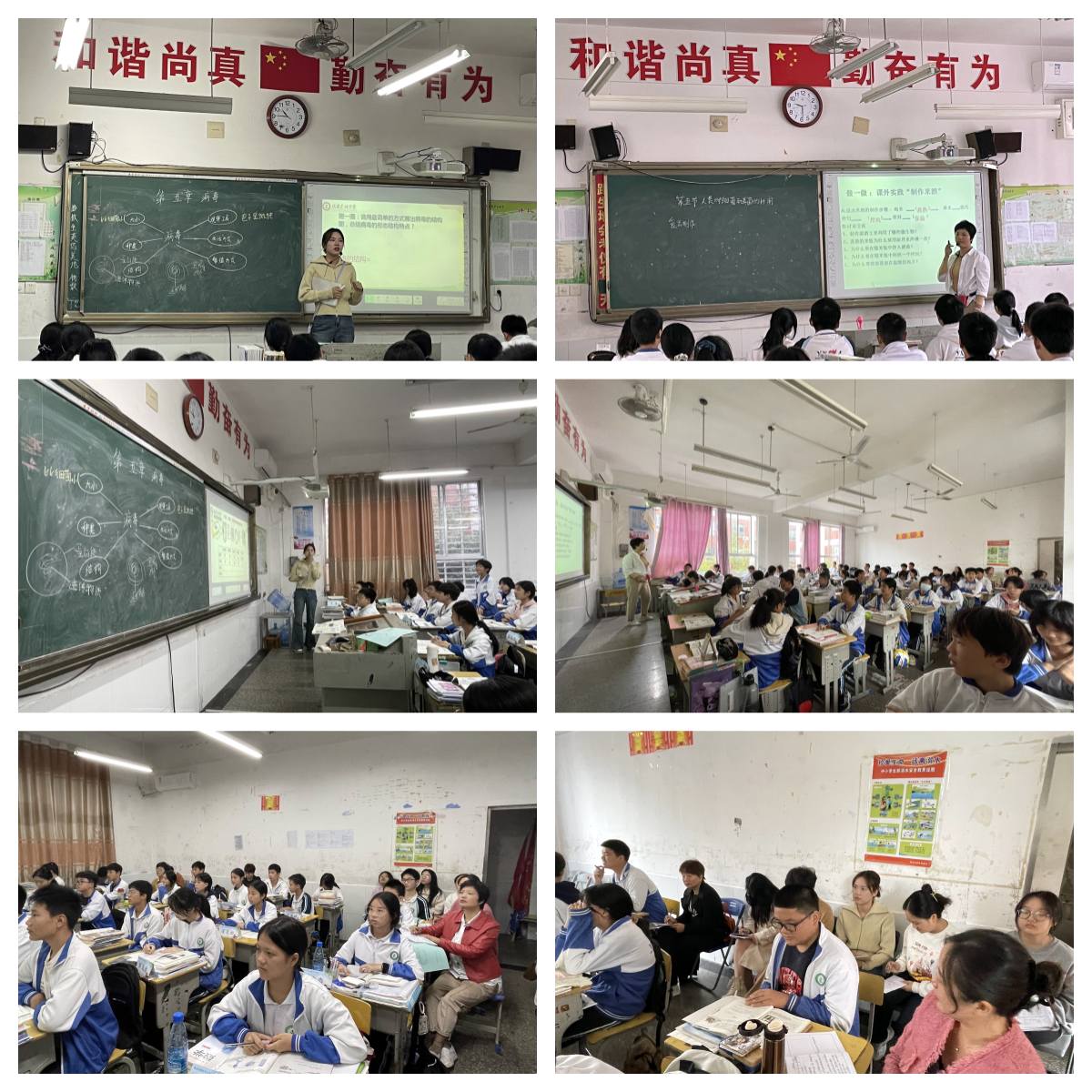 7生物课堂.jpg